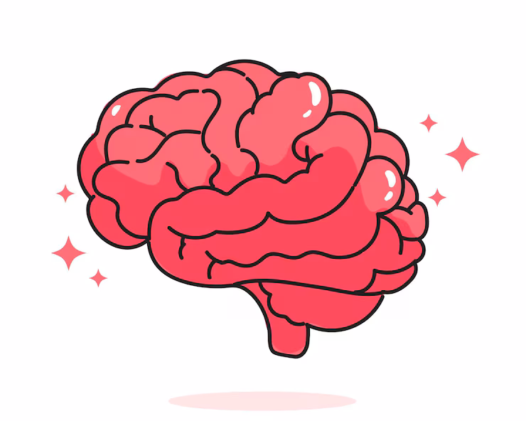 Illustration of a brain